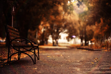 Fototapeta na wymiar Autumn park bench, rainy texture background. Rain in autumn park, drops of water, wind.