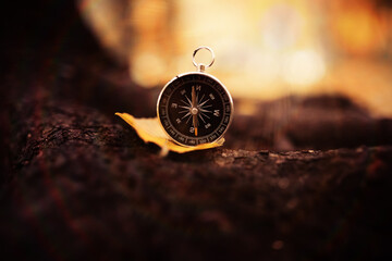 Old vintage compass in the forest with leaves at the background. © alexkich