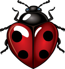 ladybug beetle with heart shaped wings top view © Юрий Кравченко