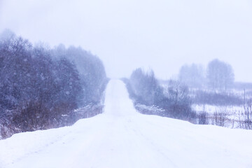 Fototapeta premium The forest is covered with snow. Frost and snowfall in the park. Winter snowy frosty landscape.