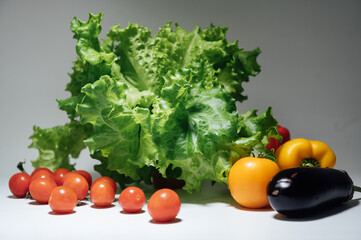 A set of fresh vegetables for making a useful salad for breakfast or lunch