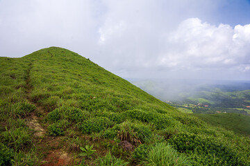 Naklejka premium A view from the top of Devaramane hills, Chikamagalore