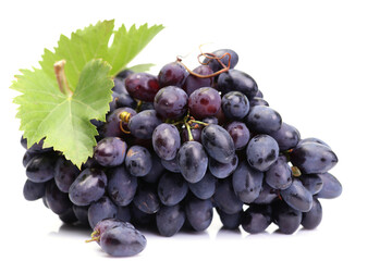 Bunch grape isolated 