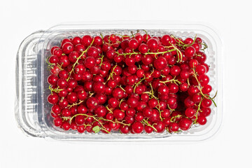 Red currant closeup in a plastic box