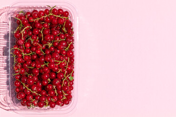 Red currant in plastic box isolated on pink background collection top view