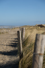 A fence with wooden piles in a dune landscape with the coastline of the Dutch North sea in the background