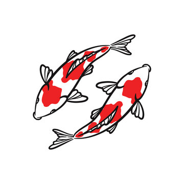 Hand drawn koi fish vector. Koi carp line art illustration