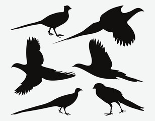 Exquisite Collection of Majestic Pheasant Silhouettes, Diverse Set of Artistic Avian Forms for Various Creative Projects