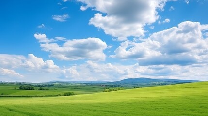 Fototapeta premium Beautiful panoramic natural landscape, Green field and blue sky with clouds Landscape
