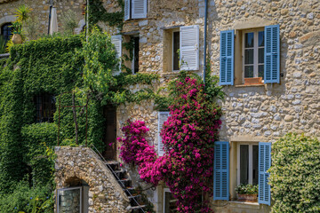 Blooming bougainvilia, jasmine and ivy covered wall of am old stone house in the medieval town of...