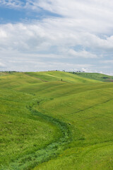 Tuscany rural landscape in Crete Senesi, landscape with green rolling hills and cypresses in Val d'Orcia, Italy