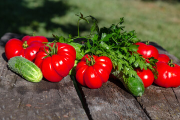 Fresh tomatoes, cucumbers and parsley on an old wooden table. Summer harvest in the garden