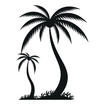 Palm Tree Summer 