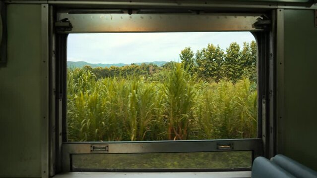 Travel by train in Asia, view from window of the train car on beautiful wild nature during sunset, high quality 4K slowmotion tourist adventure concept footage, Northern Thailand.