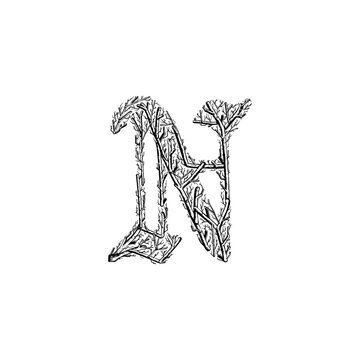 letter N branches hand drawing vector isolated on background.