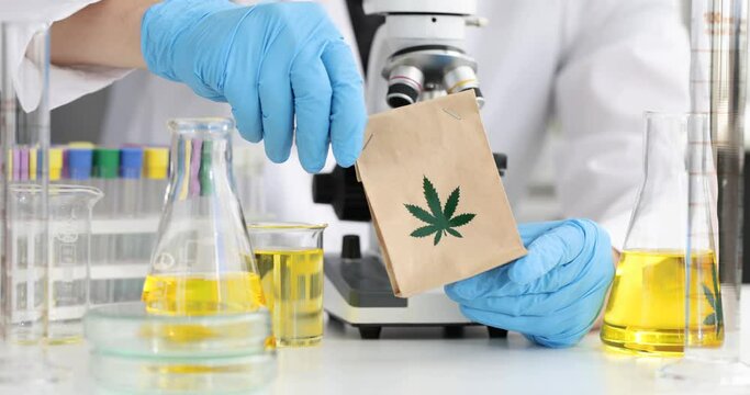 Chemist in gloves holds paper bag and flask with marijuana oil in laboratory closeup. Medical cannabis research