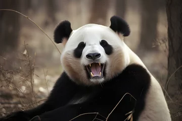 Foto op Plexiglas giant panda eating bamboo made by midjourney © Teo