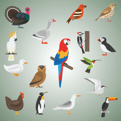 bird flat color icons set