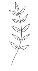 tiny plant hand drawing doodle line 