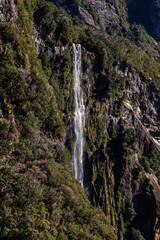 Fototapeta na wymiar Small waterfall in the Miflord Sounds