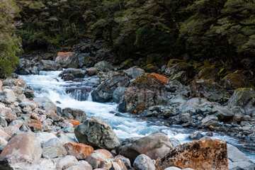 A river in Fiordland