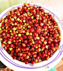 Ripe gooseberries are delicious and healthy in bowl on the table