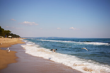 landscape with the shore of the Black Sea in Bulgaria on a summer day.