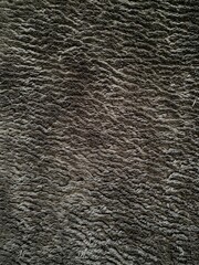 texture of rug
