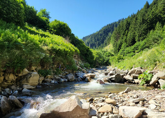 Fototapeta na wymiar Partial view of the Tamdere Creek in Tamdere village in Dereli, Giresun
