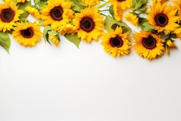 Sunflowers Arrangement Framing a Clean White Background