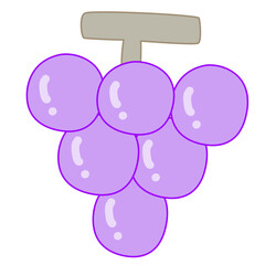 grape fruit for illustration , design , decoration , sticker