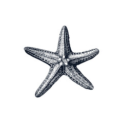 Starfish Engraving Style Monochrome Clipart Vector Illustration