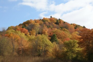 A vibrant autumn landscape with a majestic mountain peak