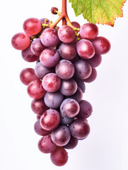 Fototapeta premium Ripe red grapes isolated on a white background