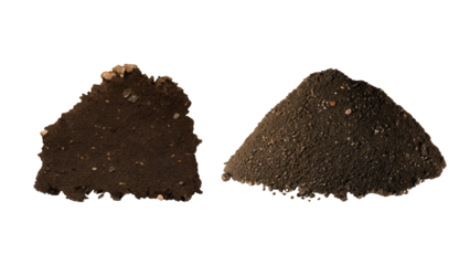 Pile soil, Dead leaves or humus organic soil.