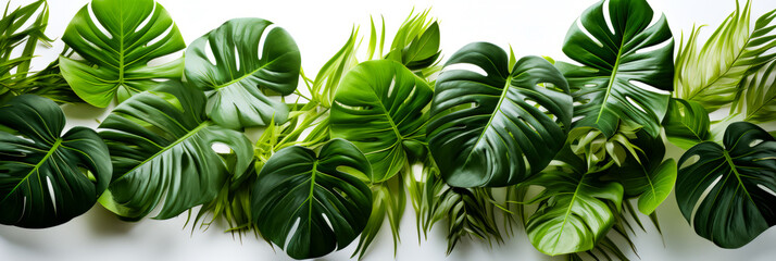 Group of green leaves sitting on top of white table.