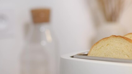 Two white slices of bread in toaster. Breakfast toasts