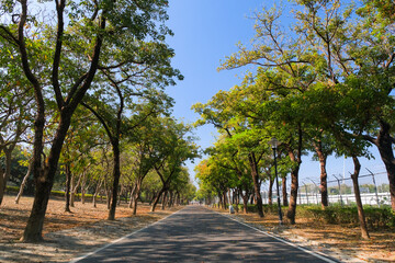 台湾 高雄市左營區 原生植物園の遊歩道