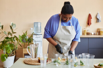 Fototapeta na wymiar Waist up portrait of black woman making fresh lemonade for sale in cafe bar kitchen, copy space
