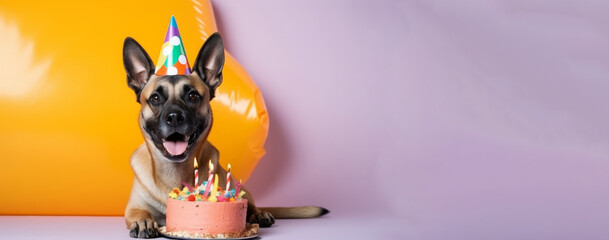 Fototapety  Portrait of cute dog with birthday cake and hat isolated on purple background with big copy space right. Pet birthday celebration concept.