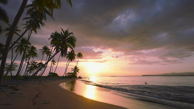 Exotic sunny beach with palm trees and turquoise sea on a Caribbean island. Picturesque landscape of the evening tropical sea coast with waves on the sand. Summer holidays and paradise beach concept.