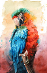 Watercolor illustration of a beautiful macaw parrot with colorful yellow and blue feathers sitting on a branch against a background of watercolor stains and drips © Мария Тарасова