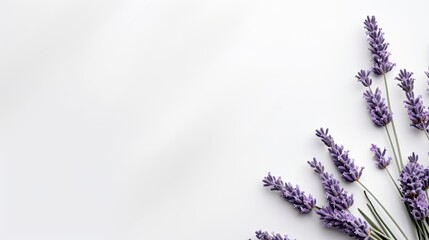 Mockup with white textured background and lavender design viewed from the top with open space © HN Works