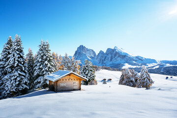 Winter landscape with wooden log cabin on meadow Alpe di Siusi on blue sky background on sunrise time. Dolomites, Italy. Snowy hills with orange larch and Sassolungo and Langkofel mountains group