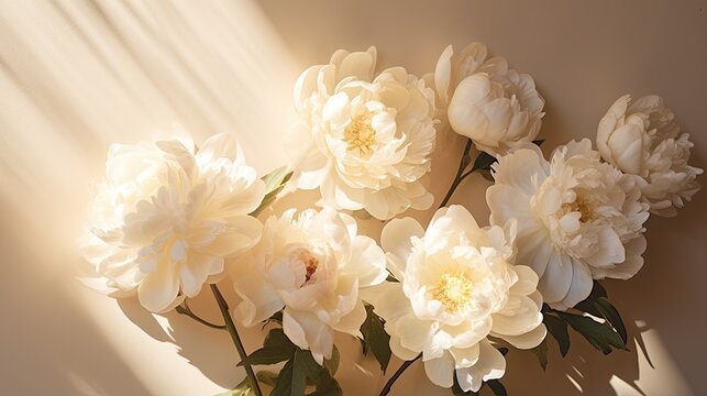 Top view of neutral beige background with flatlay arrangement of peonies incorporating copy space and sunlight shadows. Mockup image