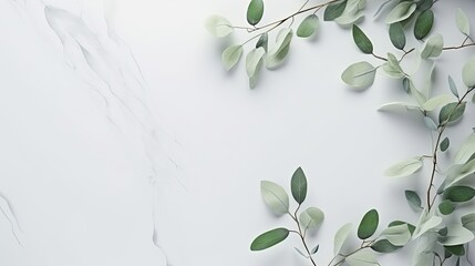 Eucalyptus branches on pastel gray background with copy space Top view. Mockup image - obrazy, fototapety, plakaty