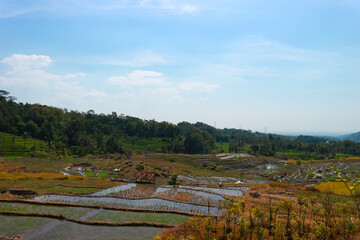 Views of mountains and terraced rice fields Pictures of Natural Scenery in Indonesia
