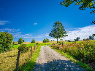 Wanderwege auf der Wasserkuppe Naturpark in der Rhön - Deutschland