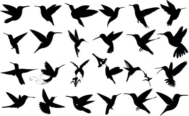 Set of hummingbird silhouettes, scientifically known as Trochilidae. Each silhouette captures the unique flight pattern of these fascinating creatures, making it a perfect choice for bird enthusiasts 