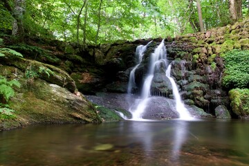Cascade rivière chute d'eau nature forêt